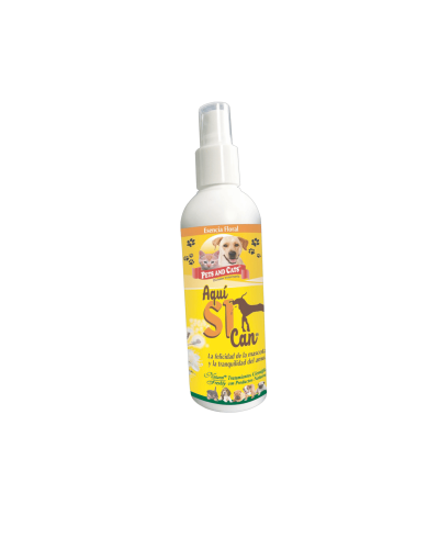 Aqui Si Can X 240 Ml -...